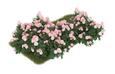 Field of grass with flowers isolated on white background. 3d rendering - illustration