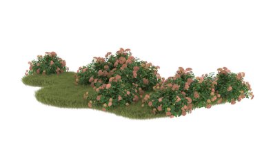 Field of grass with flowers isolated on white background. 3d rendering - illustration