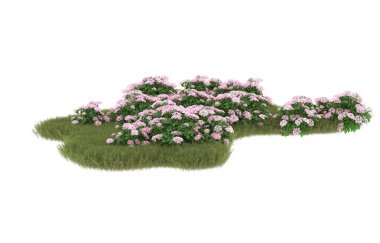 Field of grass with flowers isolated on white background. 3d rendering - illustration