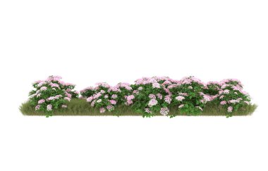 Field of grass with flowers isolated on white background. 3d rendering - illustration