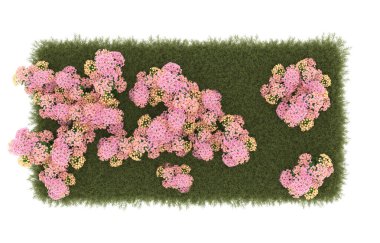 Field of grass with flowers isolated on white background. 3d rendering - illustration