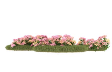 Field of grass with flowers isolated on white background. 3d rendering - illustration