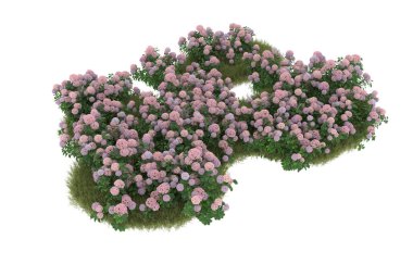 Field of grass with flowers isolated on white background. 3d rendering - illustration