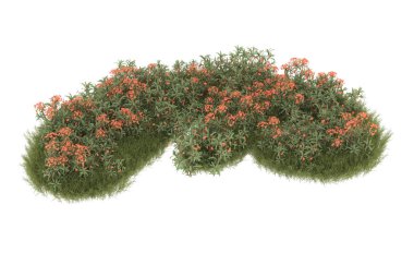 Field of grass with flowers isolated on white background. 3d rendering - illustration