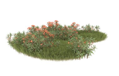 Field of grass with flowers isolated on white background. 3d rendering - illustration