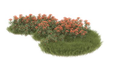 Field of grass with flowers isolated on white background. 3d rendering - illustration