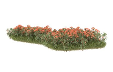 Field of grass with flowers isolated on white background. 3d rendering - illustration