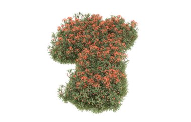 Field of grass with flowers isolated on white background. 3d rendering - illustration