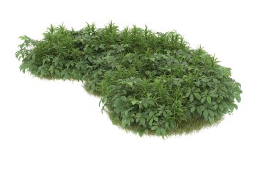 Field of grass with flowers isolated on white background. 3d rendering - illustration