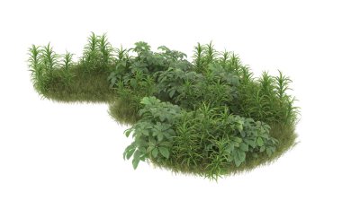 Field of grass with flowers isolated on white background. 3d rendering - illustration