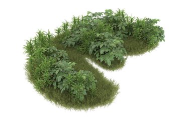 Field of grass with flowers isolated on white background. 3d rendering - illustration