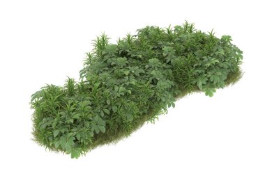 Field of grass with flowers isolated on white background. 3d rendering - illustration