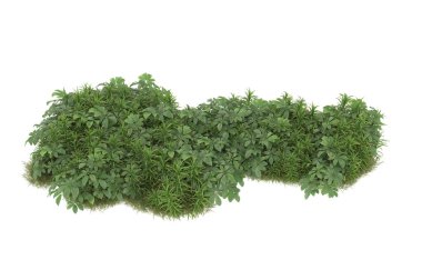 Field of grass with flowers isolated on white background. 3d rendering - illustration