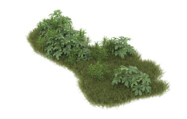 Field of grass with flowers isolated on white background. 3d rendering - illustration