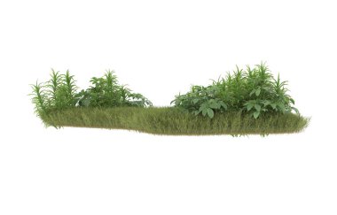 Field of grass with flowers isolated on white background. 3d rendering - illustration