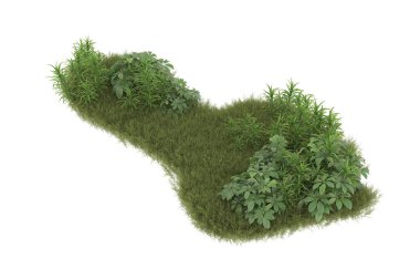 Field of grass with flowers isolated on white background. 3d rendering - illustration