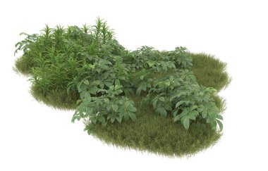 Field of grass with flowers isolated on white background. 3d rendering - illustration