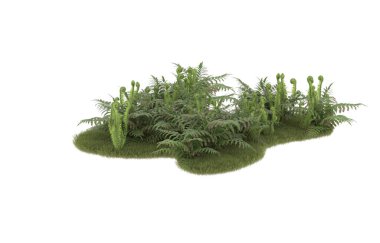 Field of grass with flowers isolated on white background. 3d rendering - illustration