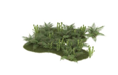 Field of grass with flowers isolated on white background. 3d rendering - illustration