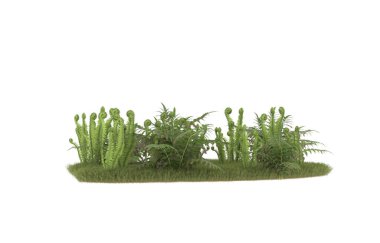 Field of grass with flowers isolated on white background. 3d rendering - illustration