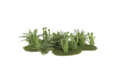 Field of grass with flowers isolated on white background. 3d rendering - illustration