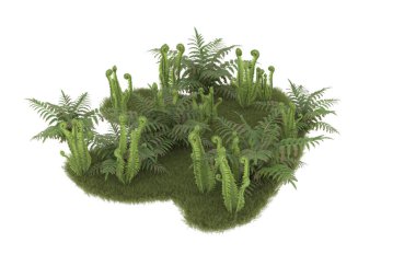 Field of grass with flowers isolated on white background. 3d rendering - illustration