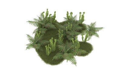 Field of grass with flowers isolated on white background. 3d rendering - illustration