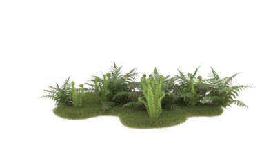 Field of grass with flowers isolated on white background. 3d rendering - illustration