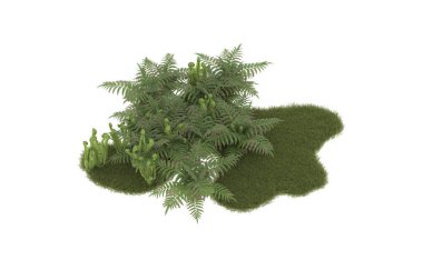 Field of grass with flowers isolated on white background. 3d rendering - illustration