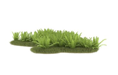 Field of grass with flowers isolated on white background. 3d rendering - illustration