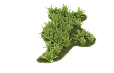 Field of grass with flowers isolated on white background. 3d rendering - illustration