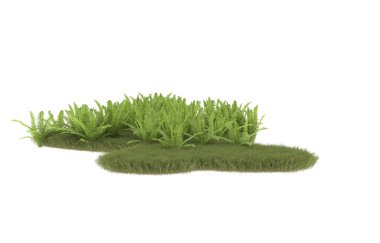 Field of grass with flowers isolated on white background. 3d rendering - illustration