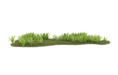 Field of grass with flowers isolated on white background. 3d rendering - illustration