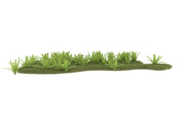 Field of grass with flowers isolated on white background. 3d rendering - illustration