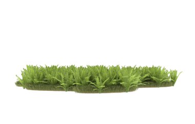 Field of grass with flowers isolated on white background. 3d rendering - illustration