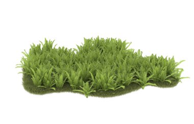 Field of grass with flowers isolated on white background. 3d rendering - illustration
