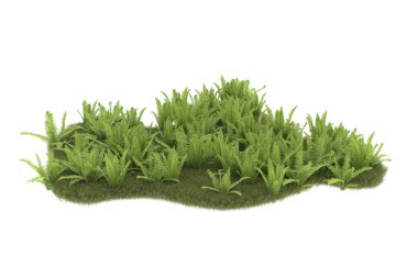 Field of grass with flowers isolated on white background. 3d rendering - illustration