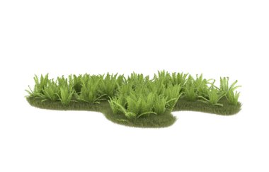Field of grass with flowers isolated on white background. 3d rendering - illustration