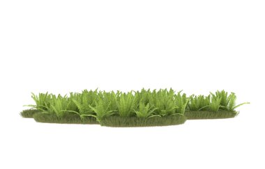 Field of grass isolated on white background. 3d rendering - illustration