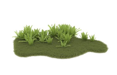 Field of grass isolated on white background. 3d rendering - illustration