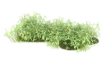 Field of grass isolated on white background. 3d rendering - illustration