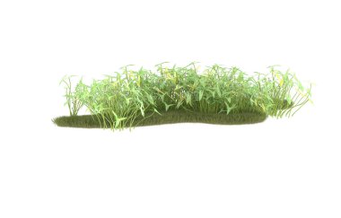 Field of grass isolated on white background. 3d rendering - illustration