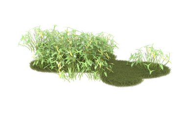 Field of grass isolated on white background. 3d rendering - illustration
