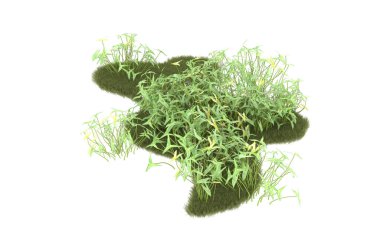 Field of grass isolated on white background. 3d rendering - illustration