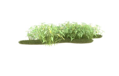 Field of grass isolated on white background. 3d rendering - illustration