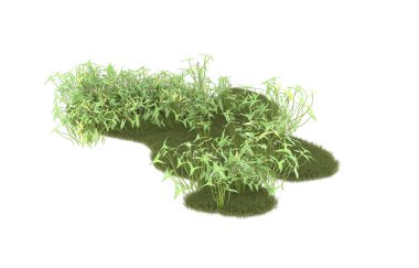 Field of grass isolated on white background. 3d rendering - illustration