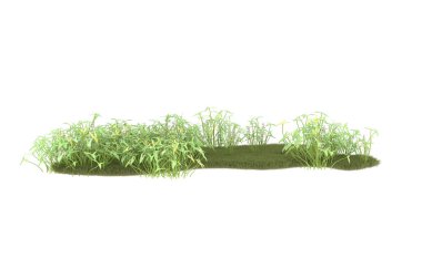 Field of grass isolated on white background. 3d rendering - illustration