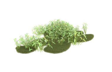 Field of grass isolated on white background. 3d rendering - illustration