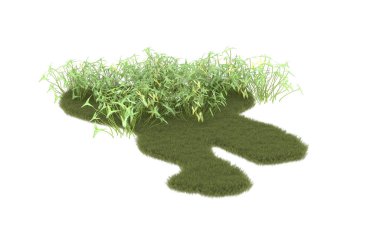 Field of grass isolated on white background. 3d rendering - illustration