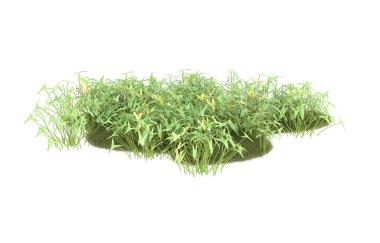 Field of grass isolated on white background. 3d rendering - illustration